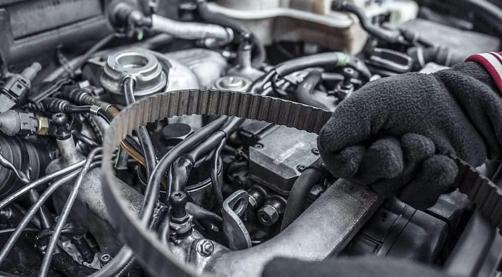 A serpentine belt from a car is being held by gloved hands.