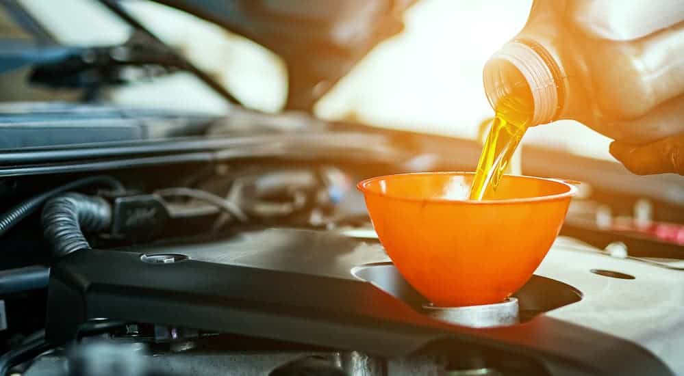 The Best Options For Your Next Oil Change | Check Engine