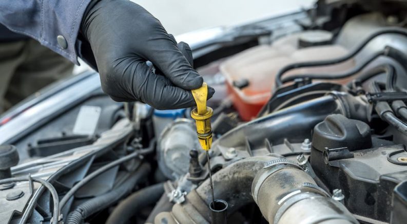 6 Questions to Consider Before Your Next Oil Change