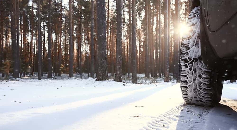 A car's front tire is shown in snow in front of pine trees.