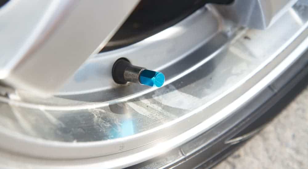 A close up shows a blue metal valve stem cover.