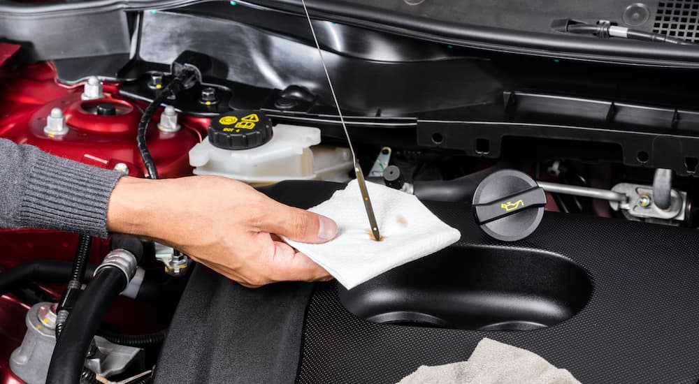 A close up shows a person checking oil on a dipstick during an oil change near you.