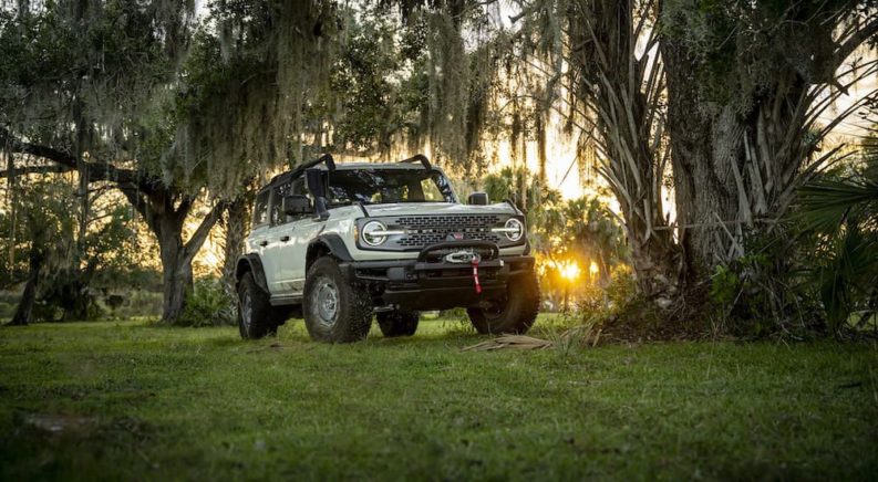 A grey 2022 Ford Bronco Everglades is shown in the everglades from the front at an angle.