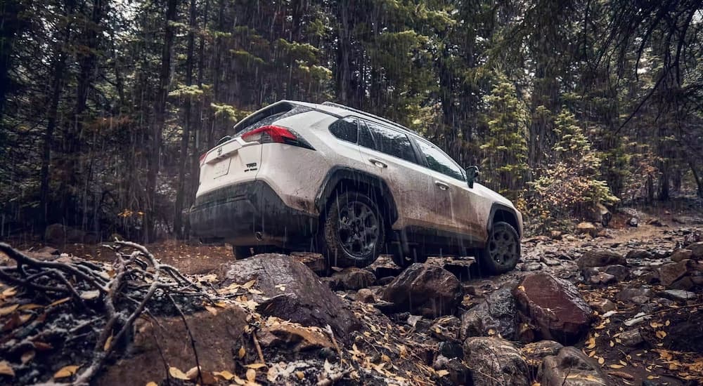 A white 2022 Toyota RAV4 is shown from the rear while off-roading after receiving Toyota SUV service.