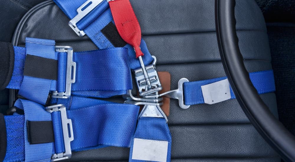 A blue race harness is shown.