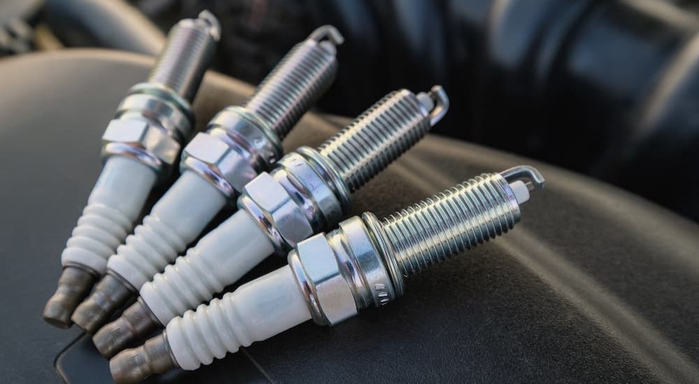 Four spark plugs are shown laying side by side.