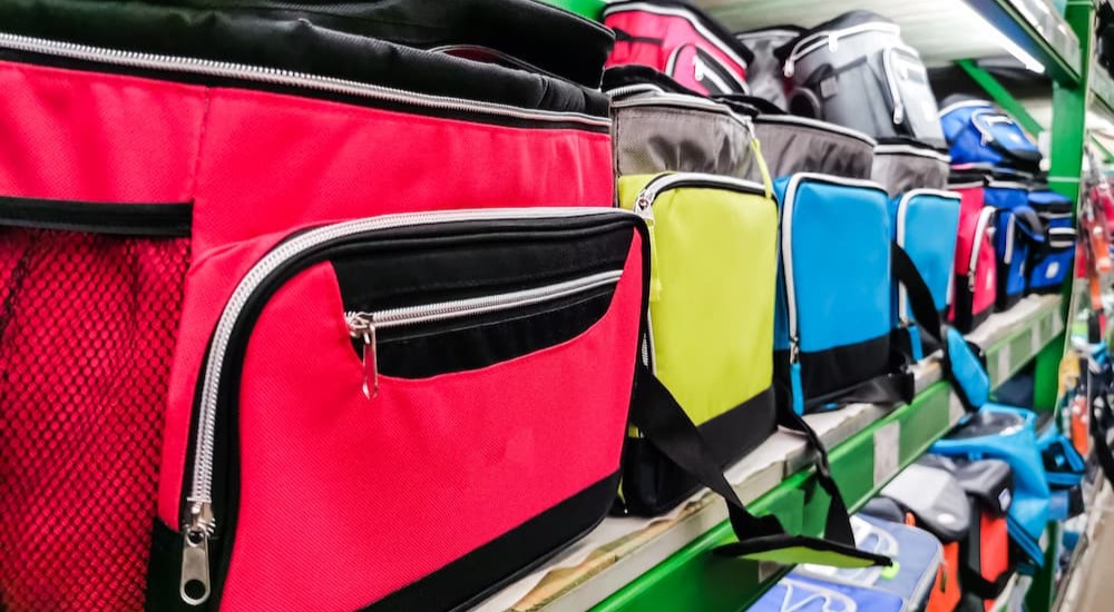 A colorful selection of cooler bags are shown on shelves.