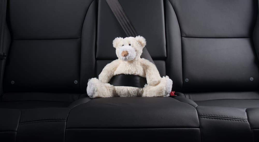 A teddy bear is in the back seat of a vehicle.