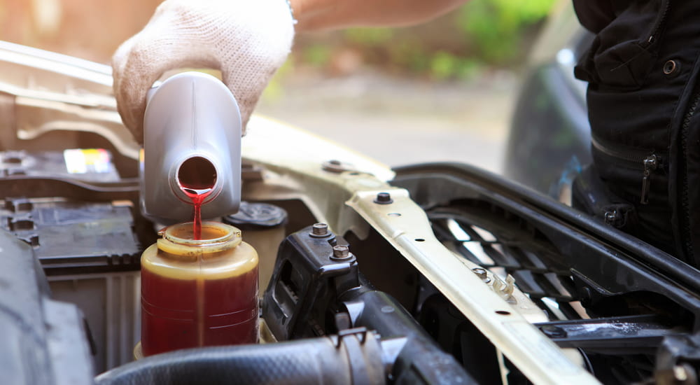 A mechanic pouring transmission fluid into an engine at a transmission shop.